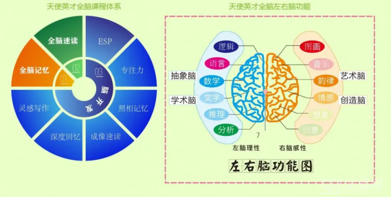 全脑开发加盟