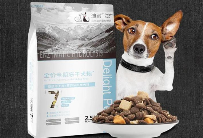 迪耐寵物