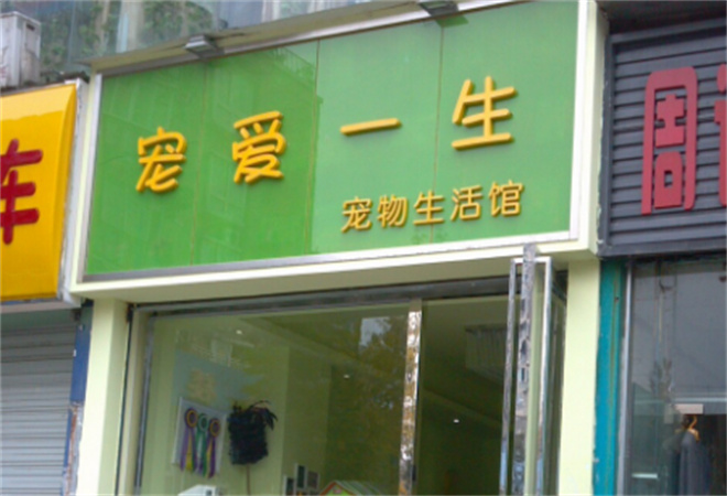 寵愛一生加盟
