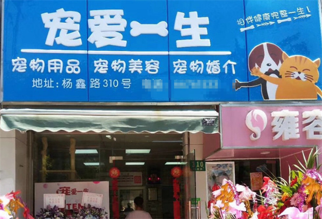 寵愛一生
