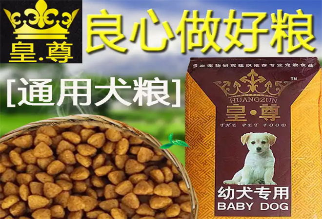皇尊狗糧